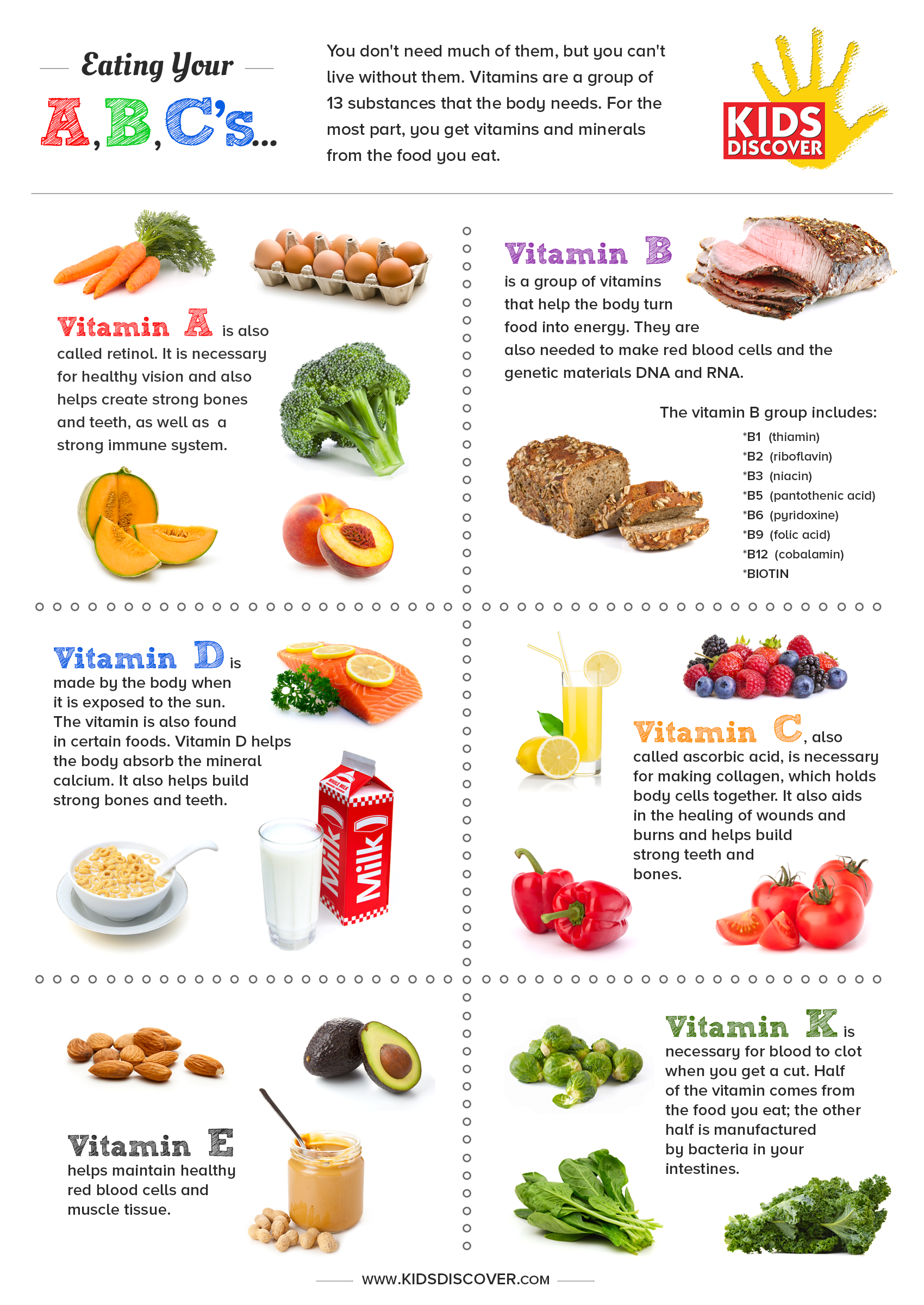 KIDS DISCOVER Vitamins Infographic