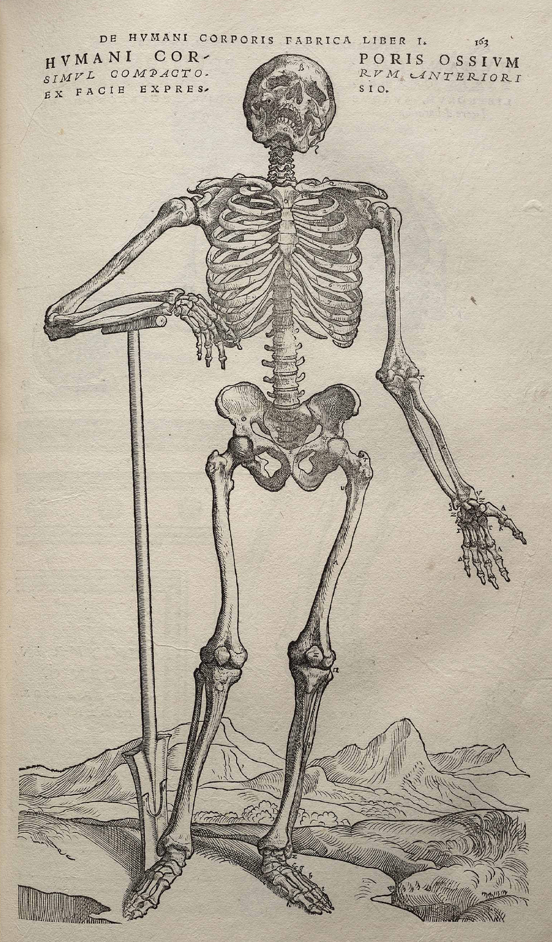 One of the most important scientific books of the Renaissance was On the Fabric of Human Anatomy. Published in 1543, it was a seven-volume work by the physician Andreas Visalius and illustrated by one of the students of the great Renaissance painter Titian. Although the primary purpose of On the Fabric of Human Anatomy was to provide an accurate picture of human bones, muscles, and organs, it is filled with anatomical drawings set in odd places. This skeleton appears to be going on a hike in the Alps. (Image via Wikipedia) 