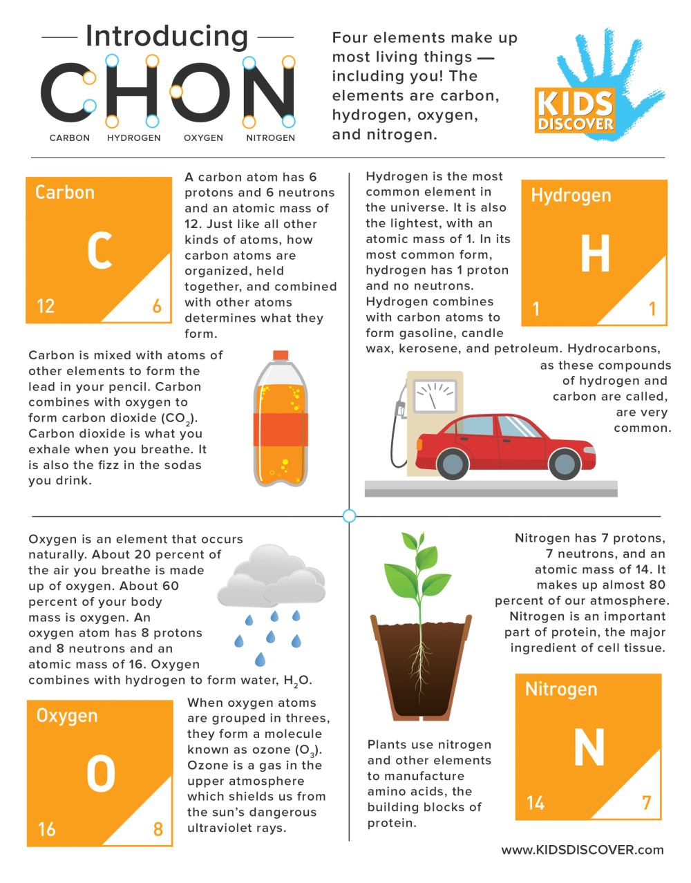 what biomolecule is composed of carbon hydrogen and oxygen